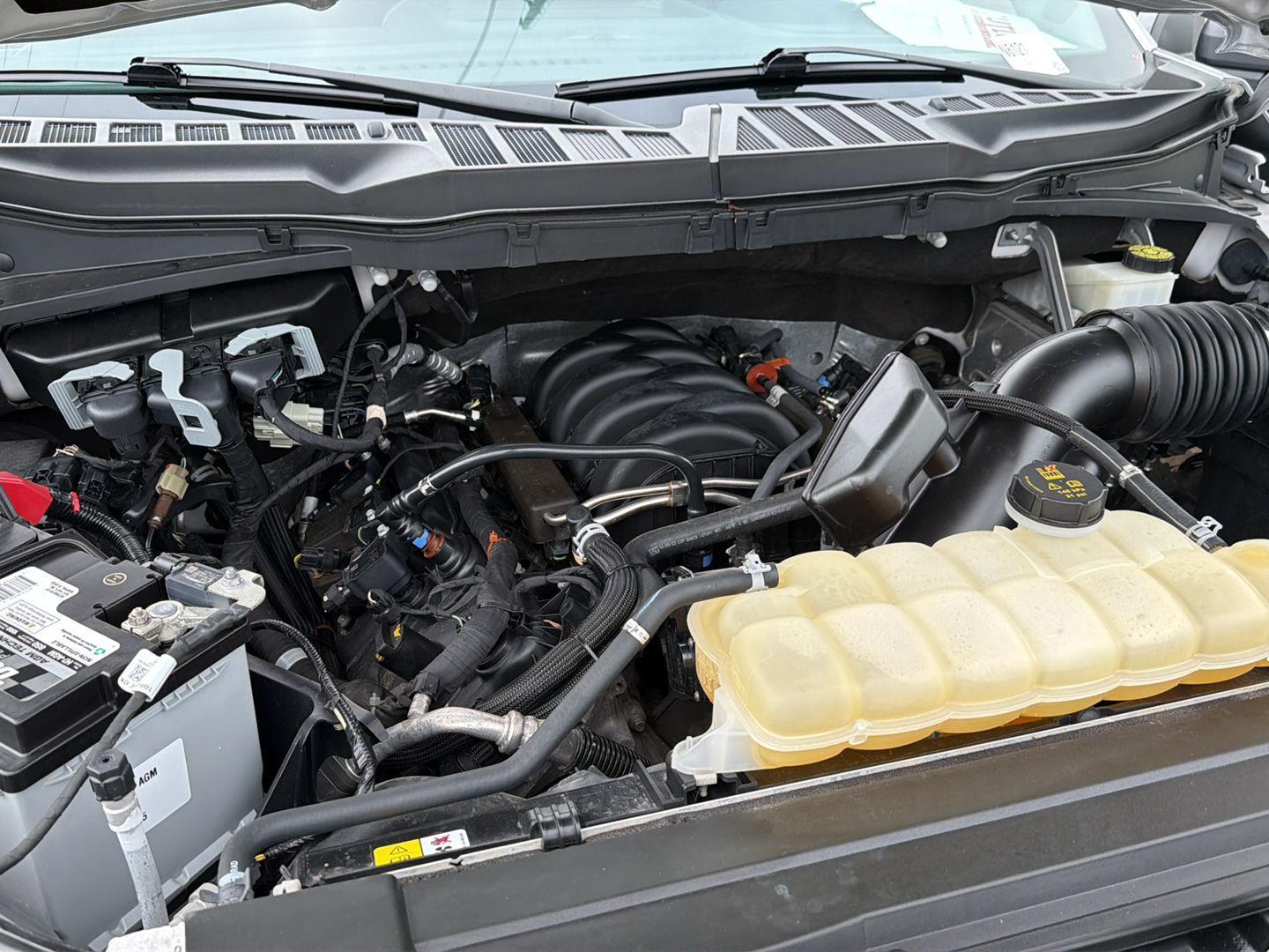 Used 2023 Ford F-150 Truck