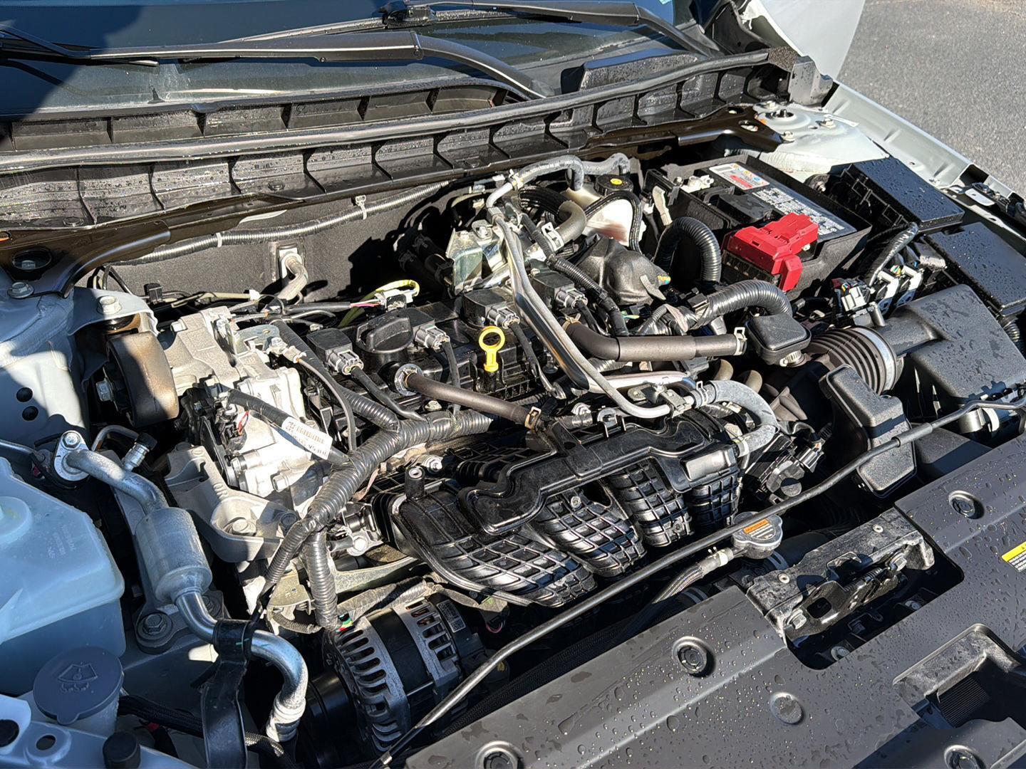 Used 2025 Nissan Altima Sedan