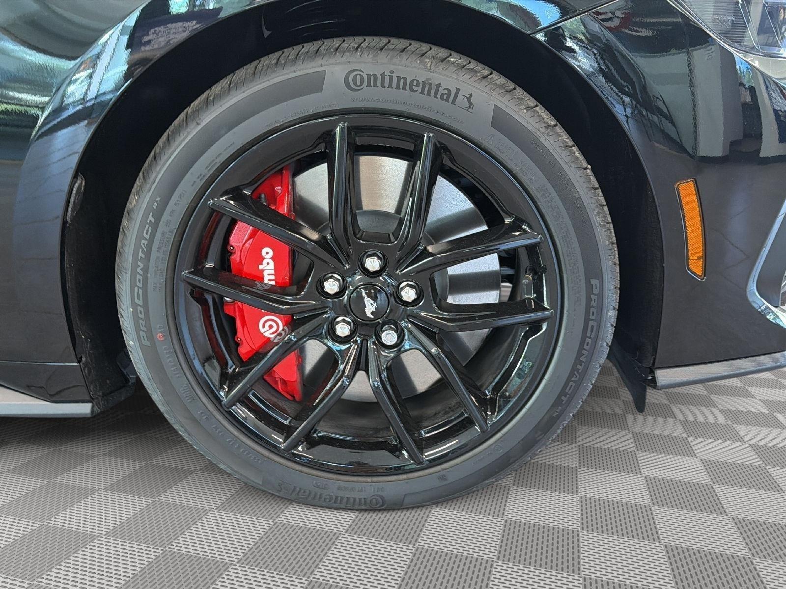 2025 Ford Mustang GT Premium - 6