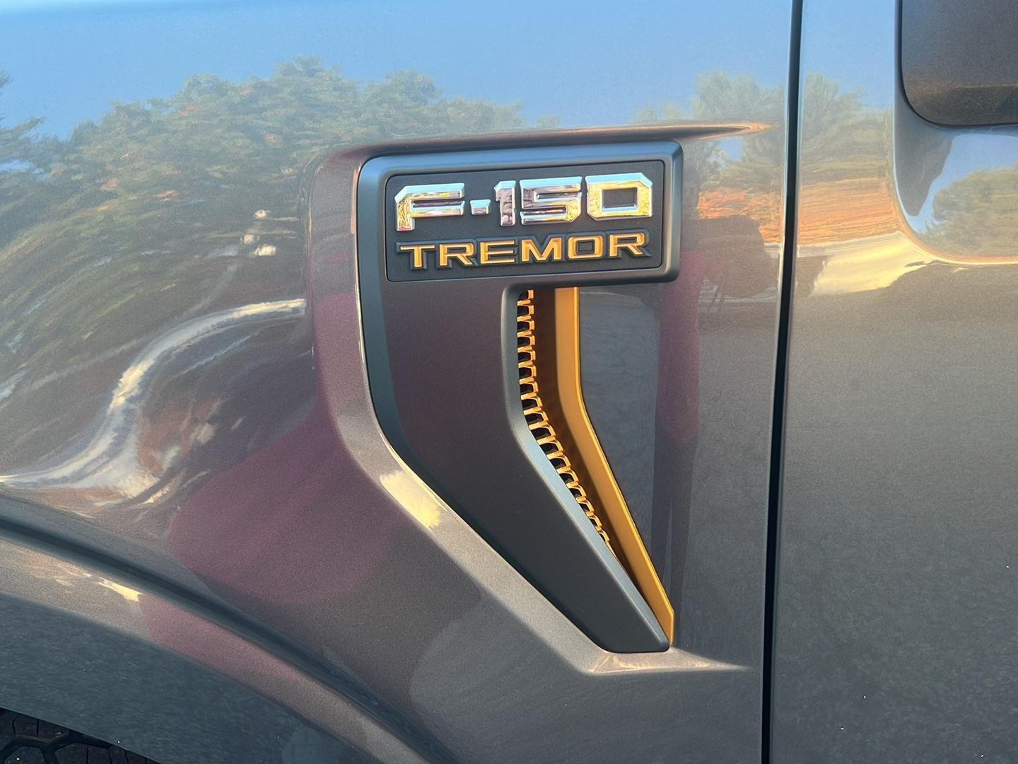2025 Ford F-150 photo 10 of 27
