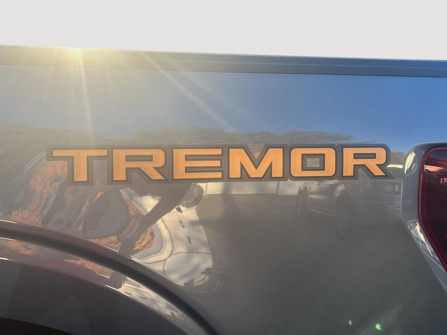 2025 Ford F-150 photo 13 of 27