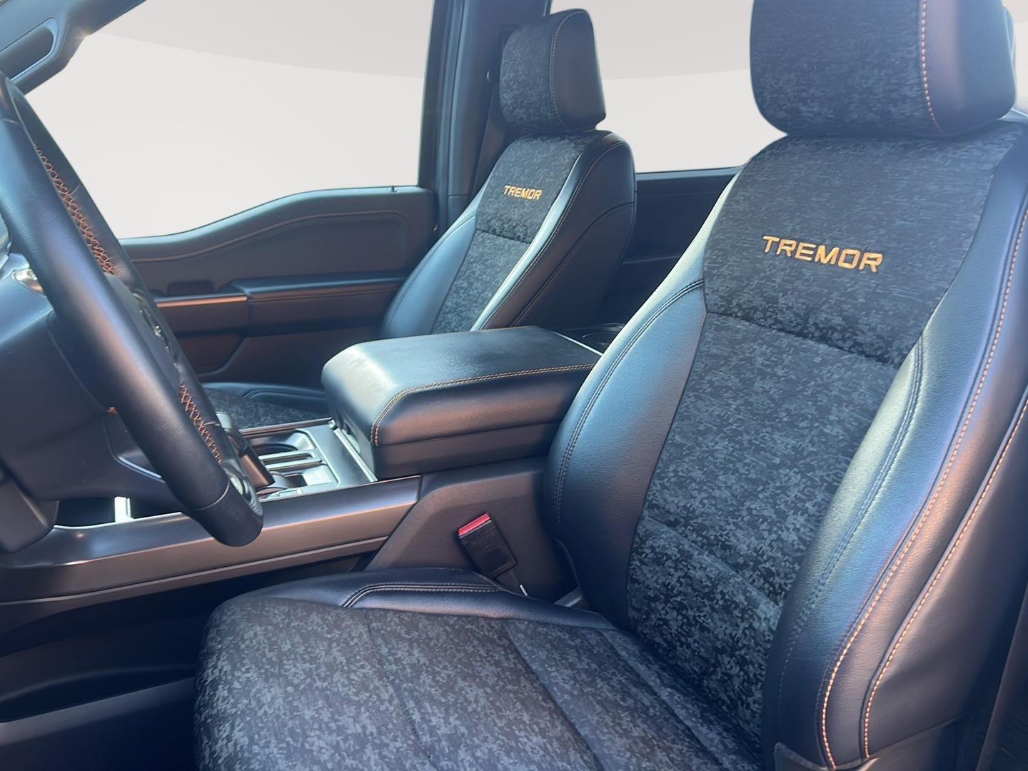 2025 Ford F-150 photo 18 of 27