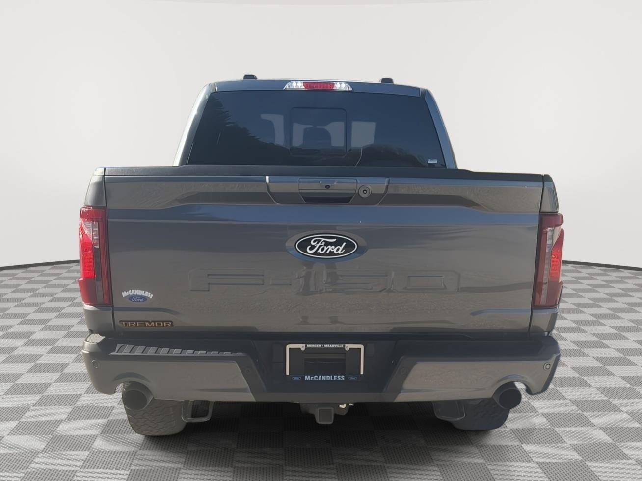 2025 Ford F-150 photo 6 of 31