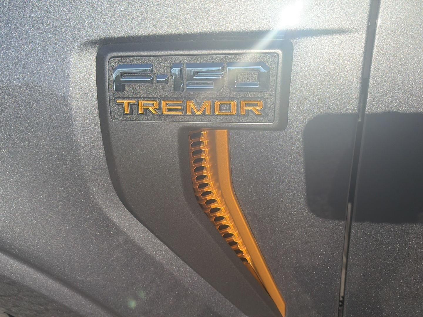 2025 Ford F-150 photo 11 of 31