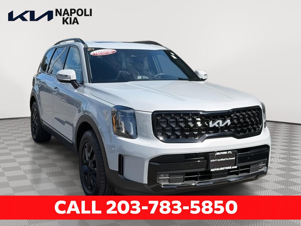 Wolf Gray 2024 Kia Telluride SX-Prestige X-Pro AWD SUV / Crossover All-Wheel Drive 8-Speed Automatic