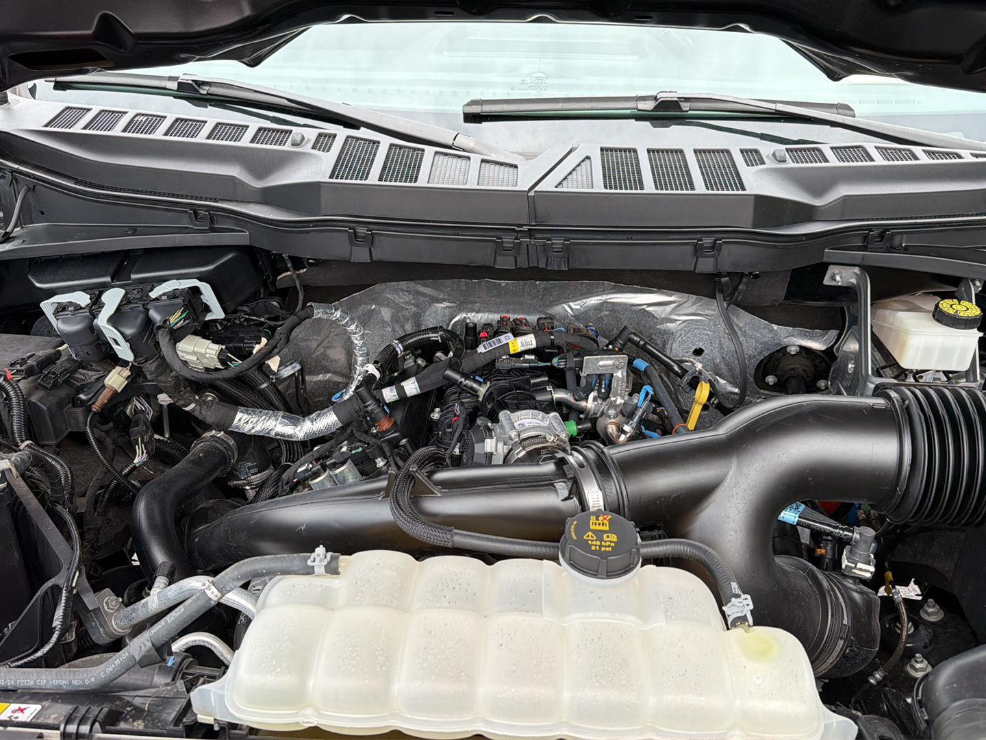 Used 2024 Ford F-150 Truck