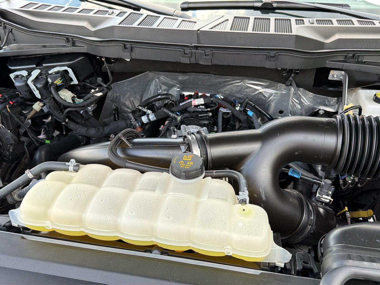 Used 2025 Ford F-150 Truck