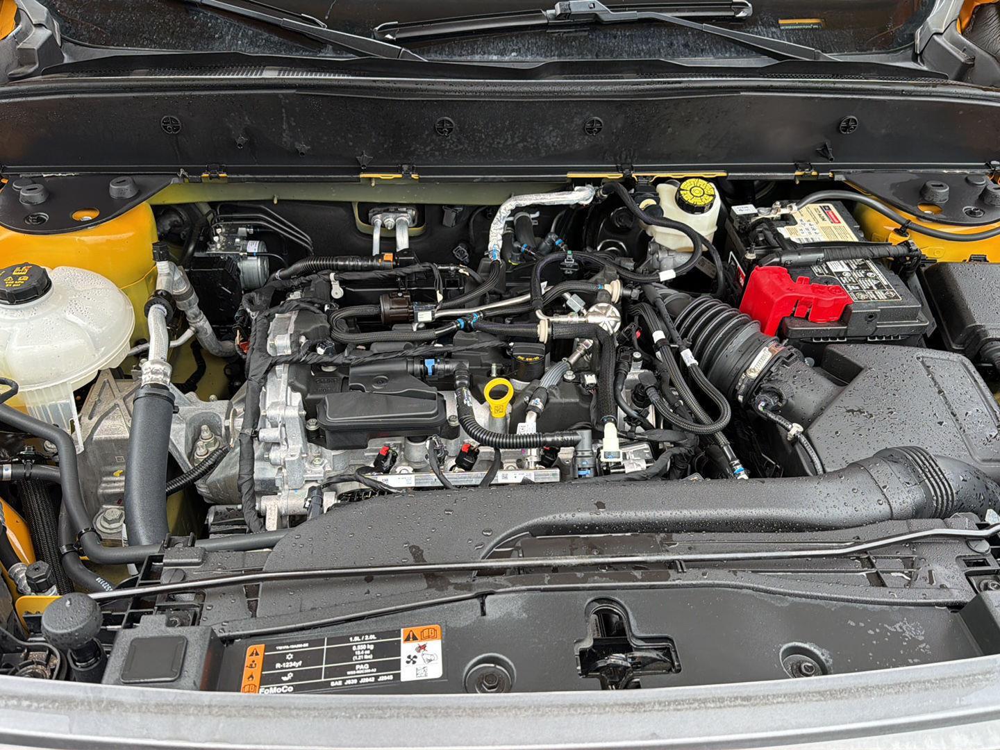 Used 2022 Ford Bronco Sport SUV