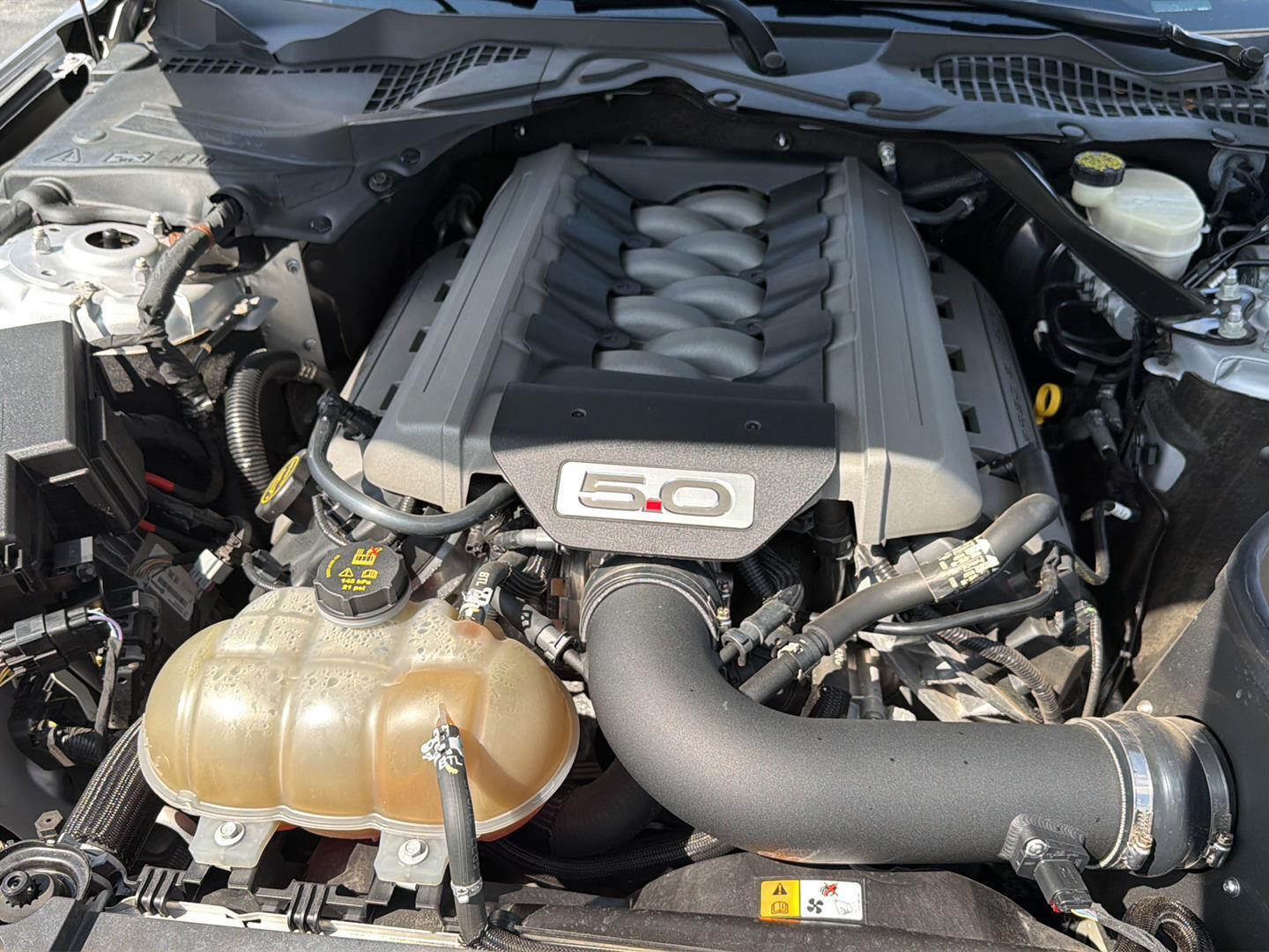 Used 2016 Ford Mustang Sedan