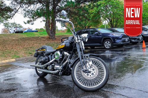 1996 HARLEY DAVIDSON FXSTSB Bad Boy