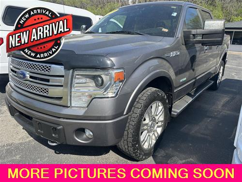 2014 Ford F-150 Platinum