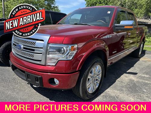 2014 Ford F-150 Platinum